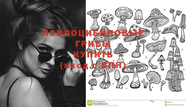 стаф Балабаново