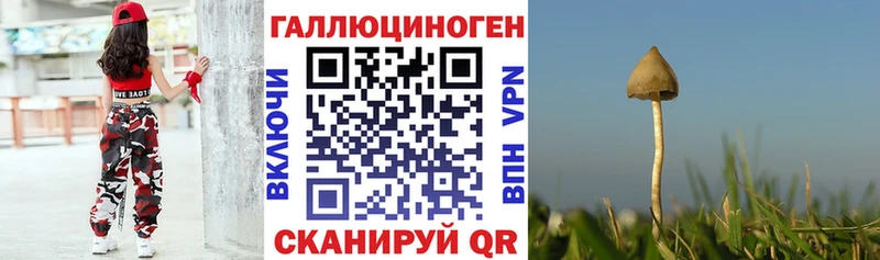 Купить где  Голицыно  Галлюциногенные грибы мицелий 